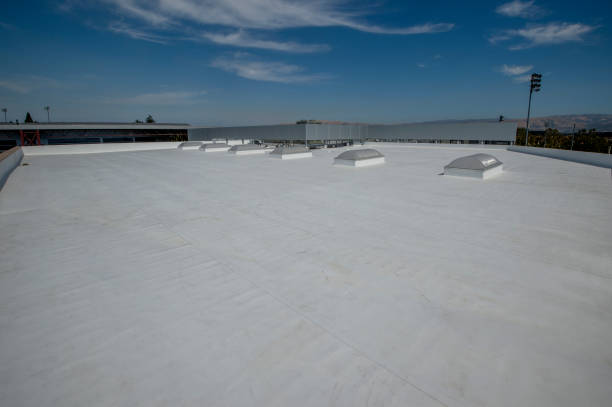 Cold Roofs in Cologne, MN
