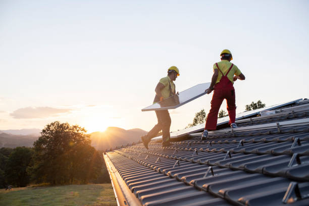 Best Wood Shake Roofing  in Cologne, MN