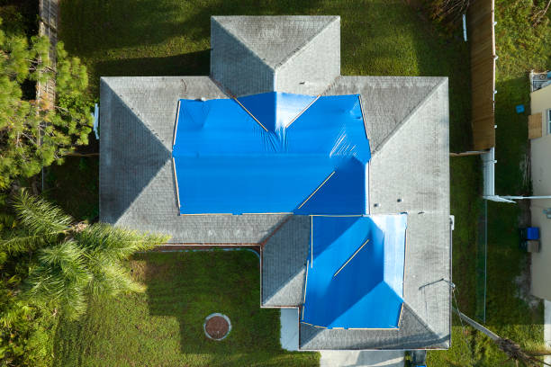 Best Cold Roofs  in Cologne, MN