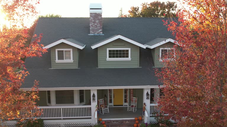 Best 4 Ply Roofing  in Cologne, MN