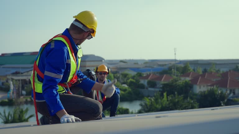Asphalt Shingles Roofing in Cologne, MN