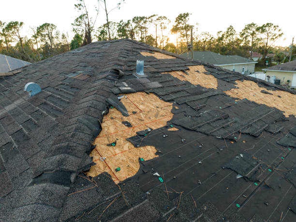 Best Wood Shake Roofing  in Cologne, MN
