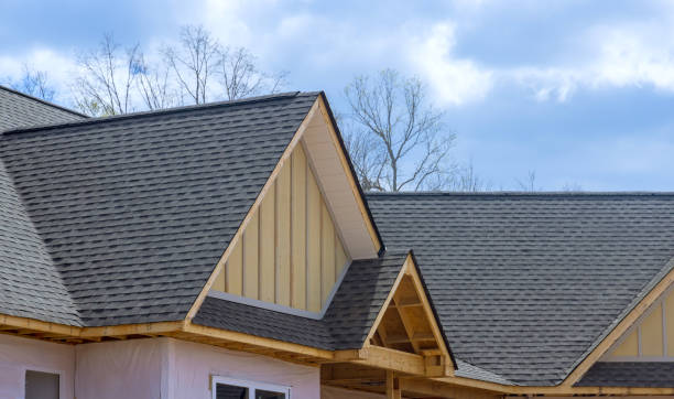 Best Gutter Installation and Repair  in Cologne, MN