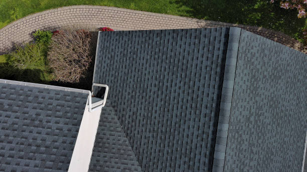Best Roof Leak Repair  in Cologne, MN