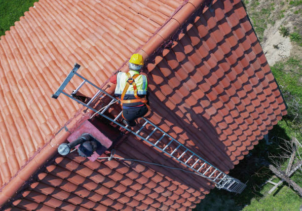 Best Wood Shake Roofing  in Cologne, MN