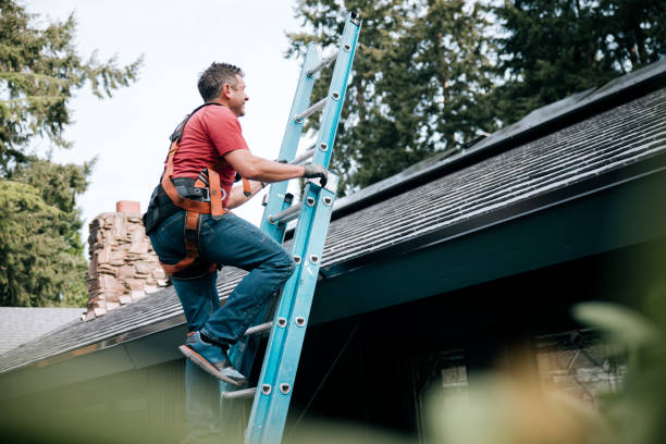 Best Roofing for New Construction  in Cologne, MN