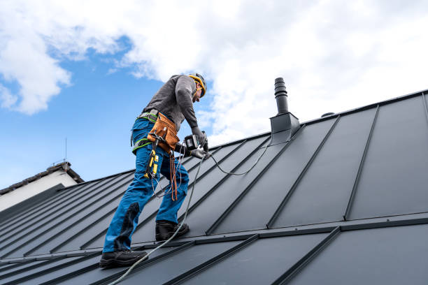 Best Roof Insulation Installation  in Cologne, MN